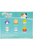 Micromallows Squishmallows Mini Yumuşak Peluş Oyuncak 24 lü Figür Seti - 6 CM