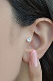 Arkası Düz Çelik Tektaş Tragus Piercing Helix Lob Kıkırdak