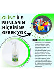 Glint  Green Industry 5 Lt 2 X 1 Lt %100 Bitkisel Endüstriyel Ekstra Güçlü Wc Kireç Temizleyici