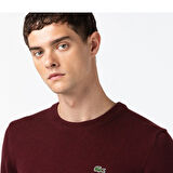 Lacoste Erkek Bisiklet Yaka Regular Fit Kazak