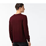 Lacoste Erkek Bisiklet Yaka Regular Fit Kazak