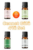 Cennet Gülü Esansiyel Oda Kokusu 4'Lü Set Uçucu Koku Yağı Buhurdanlık Yağı Difüzör Esansı Cennet Gülü Esansiyel Uçucu Koku Yağı Buhurdanlık Yağı Difüzör Esansı 4'Lü Set 4x10ml