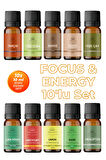 Focus & Energy 10'lu Set Oda Kokusu Esansı - Odaklanma (10x10ml) Focus & Energy 10'lu Set Oda Kokusu Esansı - Odaklanma (10x10ml)