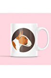 Bull Terrier Kupa