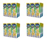 Torku Miniki Muzlu Süt 180 Ml X 24 Adet