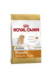 Poodle Puppy Yavru Köpek Maması-3 Kg