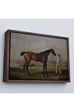 Ahşap Çerçeveli George Stubbs'Un Uzun Bacaklı At Ve Jokeyi Tablosu - Molly Long-Legs With Her Jockey-7012