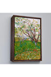 Ahşap Çerçeveli Vincent Van Gogh - Meyve Çiçekleri Tablosu-7450