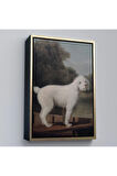 Ahşap Çerçeveli George Stubbs Beyaz Kaniş Tablo-8034