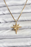 316L Çelik Zincir Gold Renk Kutup Yıldızı Model 60 cm Zincir Kadın Kolye