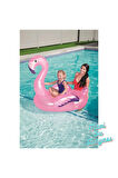 Flamingo Binici 127 x 127 Cm