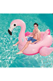 Flamingo Binici 175 x 173 Cm