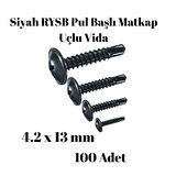 Rysb 4,2x13 mm 100 Adet Siyah Pul Başlı Matkap Uçlu Vida Otomatik Vida