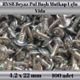 Rysb 4,2x22 mm 100 Adet Beyaz Pul Başlı Matkap Uçlu Vida Otomatik Vida