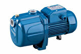 4CPM100E SESİZ 1HP PEDROLLO POMPA
