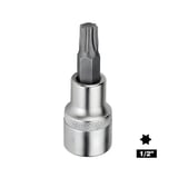 RICO 1/2 T20 Lokmalı Torx Uç Kısa 55 mm