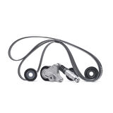 CONTI 6PK2490K1-V KAYIS GERGİ SETİ KOMPLE SET AUDI A6 3.0 TDI  059903341A