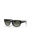 Rayban Mod.4388 C.601/71 Erkek Güneş Gözlüğü