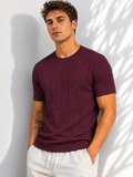 Erkek Bisiklet Yaka Kısa Kollu Esnek Örme Triko T-Shirt 26091