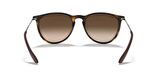 Rayban 4171 865/13 54 kadın