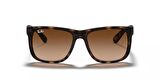 Rayban 4165 710/13 55 erkek