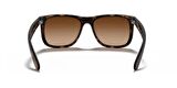 Rayban 4165 710/13 55 erkek