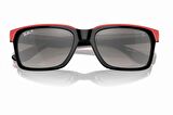 Rayban 4393 M F6015J 56 erkek