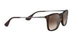 Rayban 0RB4187 856/13 54 