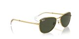 Rayban 0RB3733 001/31 56 kadın