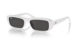 Rayban 0RB4436D 677287 55 kadın