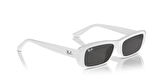 Rayban 0RB4436D 677287 55 kadın
