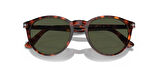 Persol 3152 901531 52 Erkek Güneş Gözlüğü
