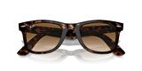 Rayban 0RB2140 902/51 50 