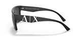 Armani Exchange 0AX4113S 807887 55 