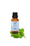 Nane Yağı 10ml - Defne Yaprağı Yağı 10 Ml- Limon Otu Yağı 10ml