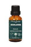 Odaklanma ( Focus ) Uçucu Yağ Karışımı, %100 Saf, 10 ml