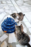 3 Katlı 3 Toplu Kedi Oyuncağı