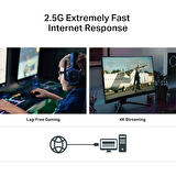 Tp-link TX201 2,5 gigabit PCI Express network adap