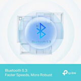 Tp-Link UB500 Plus Bluetooth 5.3 Nano USB Adaptör