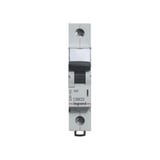 LEGRAND 10A OTOMAT SİGORTA