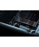16GB 6000MT/s DDR5 CL36 DIMM Beast Black EXPO Turkey