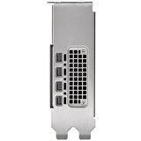 HP 16GB RTX 2000 ADA 8D6B8AA GDDR6 192bit 4-mDP PCIE 4.0 İŞ İSTASYONU GRAFİK KARTI