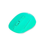 Everest SM-300 Usb Yeşil 4D Optik Süper Sessiz Alkalin Pil Kablosuz Mouse