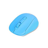 EVEREST SM-300 Usb Mavi 4D Optik Alkalin Pil Kablosuz Mouse