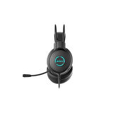 A4 TECH FH-300U Stereo USB Siyah Mikrofonlu Kulaklık