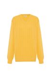 Peraluna ZACHA 'V Neck' NECK PULLOVER Üç Boyut Çizgili Mevsimlik Erkek Triko Kazak - Sarı