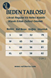 Likralı Regular Fit Nefes Alabilir Klasik Erkek Oxford Gömlek -Taş
