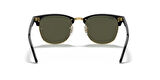 RAY-BAN RB3016 W0365 55-21-150 Unisex Güneş Gözlüğü