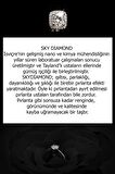 SKY DIAMOND taşlı gümüş rose kolye