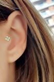 925ayar gümüş üzerine altın kaplama Zirkon taş detaylı Çiçek Figürlü Tragus Kıkırdak Piercing